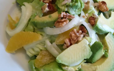 Avocado Orangen Salat